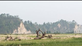 Thori Jungle Resort || ठोरी जंगल रिसॉर्ट || ठोरी जंगल रिसॉर्ट की || Er Ekram Vlog #nepal #thori