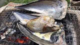 七輪で平貝をバター醤油で焼いて食べる【アウトドア 海鮮料理】