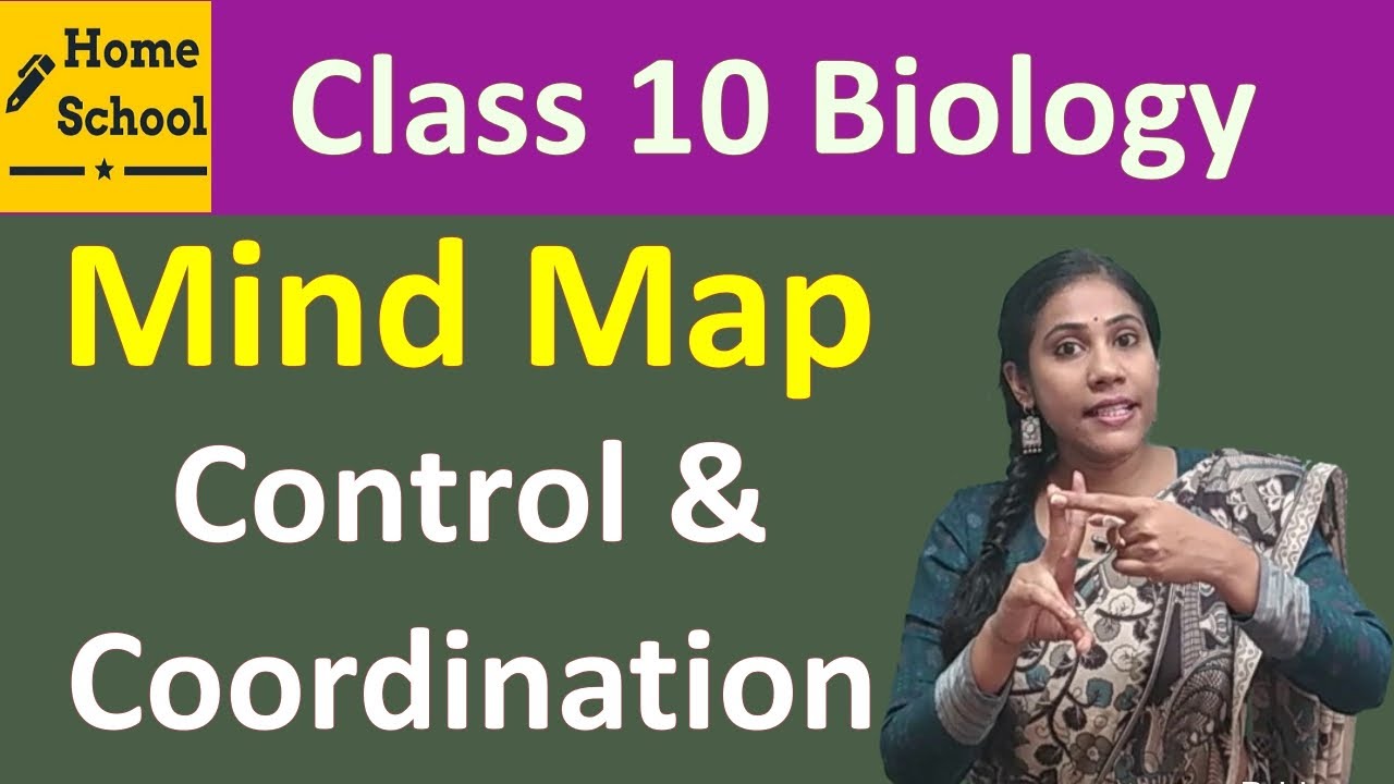 Control And Coordination Mind Map Class 10 | Revision - YouTube