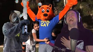 YMS LOSES IT Over Cool Cat vs. Dirty Dog - The Virus Wars Trailer