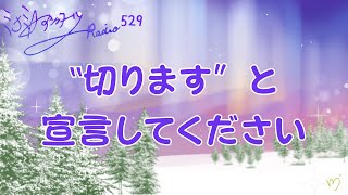 【ミナミＡアシュタールRadio529「”切ります”と宣言してください」】ミナミAアシュタールチャンネル