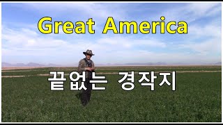 사막의 농경지 넘치는 수자원. Agricultural Waterway