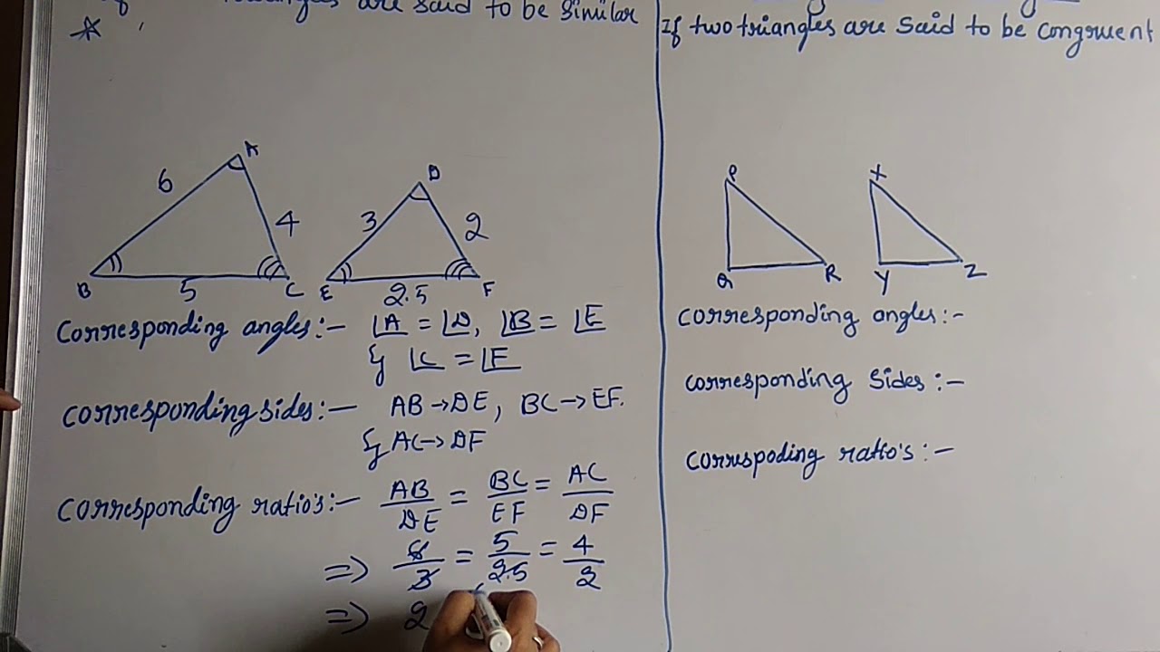 Difference Between Similar And Congruent Shapes Sakihip