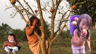 The little girl went to pick apples. Go sell.