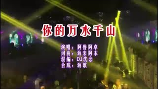 阿鲁阿卓 《你的万水千山 （DJ沈念版）》 KTV 导唱字幕 （备有伴奏视频）