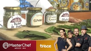 ¿Cómo deshidratar hierbas? | MasterChef México 2016