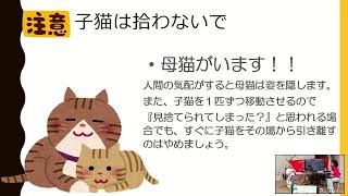 人と猫の共生　大阪府動物愛護管理センターセミナーat 猫助け文化祭＠みのおキューズモール