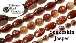 About Snakeskin Jasper