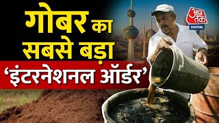 Uttar Pradesh और Rajasthan से Kuwait भेजा जा रहा गाय का गोबर। Cow Dung। Aaj Tak Latest News