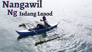 Nangawil ng isdang Lusod