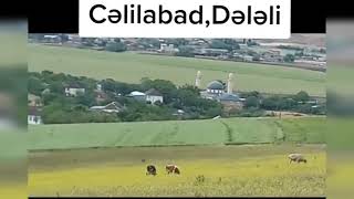 Cəlilabad Dələli kendi #celilabad