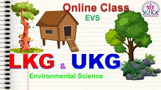 LKG UKG Online Class | Environmental Science | EVS | Lesson about Birds | പക്ഷികൾ