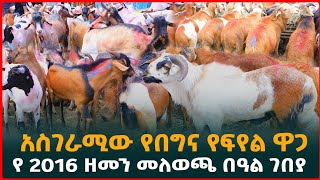 የ2016 አዲስ አመት የበግና የፍየል ዋጋ | የበዓል ገበያ| Ethiopia | Addis Ababa