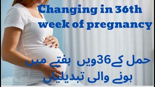 36 weeks of pregnancy | 36 weeks of pregnancy symptoms |36 week pregnant in urdu |hindi
