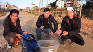 小黑找到一大窝蜂蜜，众人开挖被蜜蜂蜇到惨叫连连，太刺激了