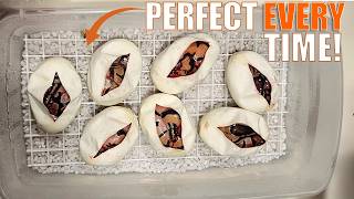 BEST WAY To INCUBATE Ball Python Eggs - FULL GUIDE