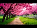 Gentle Healing Music For Health And Calming The Nervous System, Deep Relaxation