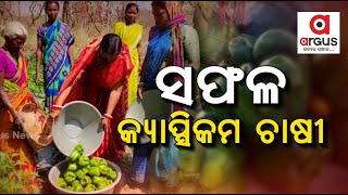 ଆଦିବାସୀ ମହିଳାଙ୍କ ସଫଳ କ୍ୟାପ୍ସିକମ ଚାଷ