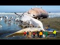 If These Beach Moments Were Not Filmed, No One Would Believe It