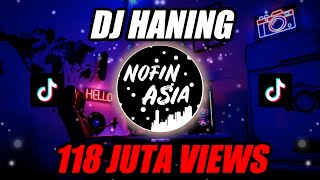 Download Mp3 DJ Haning - Lagu Dayak (Remix Viral Full Bass 2019)