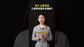 為什麽中國臺灣省要大量回收廢棄的牡蠣殼？#shorts