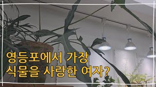 최소 영등포에서 식물을 가장 사랑하는분? 소개합니다