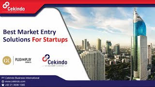 [Webinar] Indonesia Market Entry Solution for Startups