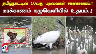 தமிழ்நாட்டின் 16வது பறவைகள் சரணாலயம்! மரக்காணம் கழுவெளியில் உதயம்!  #BirdSanctuary #sathiyam