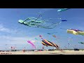 kite festival at fanø in denmark