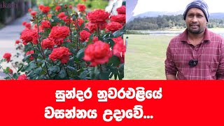 සුන්දර නුවරඑළියෙන් ගම්මැද්දට