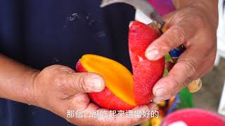 百大青農 守護食安幸福