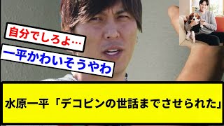 【言い訳苦しすぎやろ】水原一平「デコピンの世話までさせられた」【プロ野球反応集】【2chスレ】【なんG】