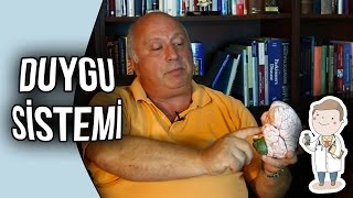 Doktor Evinde - Duygu Sistemi