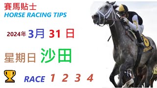 「賽馬貼士」🐴  2023 年 3 月 31 日 沙田🐴    香港賽馬貼士  HONG KONG HORSE RACING TIPS  🐴 RACE  1  2  3  4