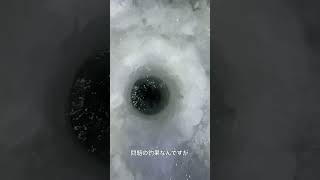 令和6年解禁日岩洞湖氷上ワカサギ  釣り#岩洞湖 #icefishing #2025