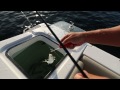 sea hunt boats 2015 boat models teaser video