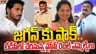 జగన్ కు షాక్.. టీడీపీలో చేరనున్న వైసీపీ రెబల్ ఎమ్మెల్యేలు | YCP MLAs BIG Shock To CM Jagan | hmtv