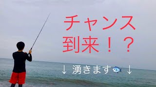 【ライトショアジギング】秋のサーフでナブラ撃ち！目の前に青物の群れが…！？