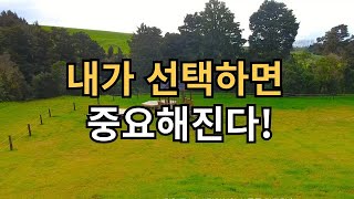 내가 선택하면 중요해 진다 | 내가 나를 낳는다 | 일지 이승헌의 365일 명상집