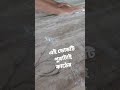 আপনার কখনো দেখেছেন এইরকম ভোড nice video vairal