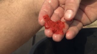 Disgusting! Blue Whale Poo! | Deadly 60 | BBC Earth