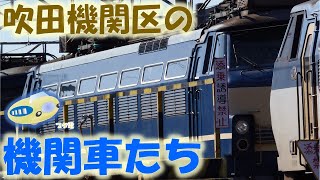 【ブタ電】吹田機関区の機関車たち