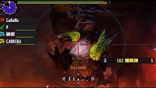 【MHXX】笑ってはいけない GaRaNaさんのサポガンプレイ動画