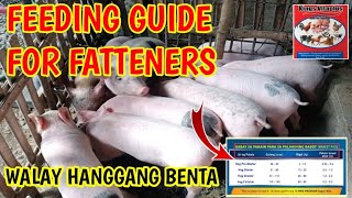 FEEDING GUIDE FOR FATTENERS( PATABAING BABOY) WALAY HANGGNAG PAGBENTA| @mangungumatv8418