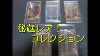 #遊戯王 【コレクション紹介】集めている遊戯王の秘蔵レア！コレクション