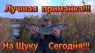 Конец Октября на Щуку пора.Это лучшая приманка сегодня на Щуку.