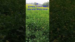 উত্তর জানলে comment করুন#viralvideo ধাঁধা