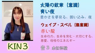 マヤ暦、青い夜は自分の時間が大事な紋章。お金と時間では流れが違う。KIN３（2020/12/17）今日は青い夜、赤い龍、音３。マヤ暦スーパーアドバイザー、健康運動指導士の鈴木早代子がお送りします。