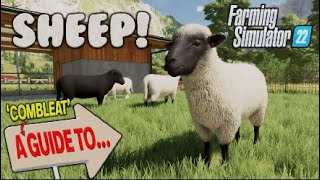 FS22 | A ‘COMPLETE’ GUIDE TO…SHEEP! | Farming Simulator 22 | INFO SHARING PS5.