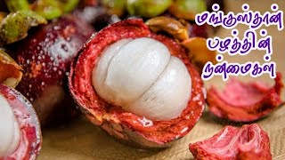 பழங்களின் ராஜா | மங்குஸ்தான் பழத்தில் இவ்ளோ பயன்களா | Mangustan fruit health benefits | Mangosteen